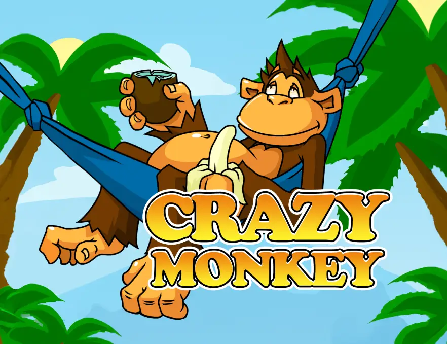 CK444 crazy monkey slot game